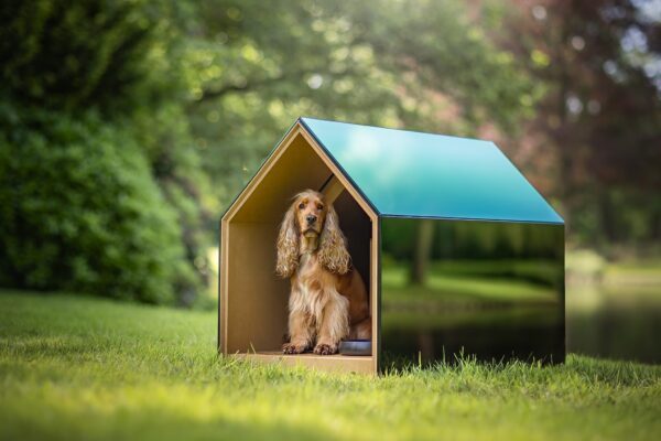 iNUGOYA I The Ultimate Dog House. Hondenhokken