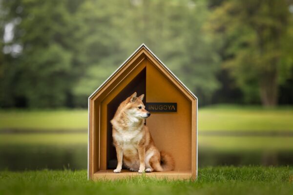 iNUGOYA I The Ultimate Dog House. Hondenhokken